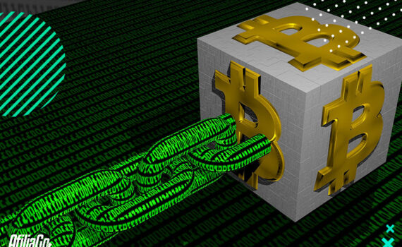 estiona todos tus brokers online desde el mismo sitio web