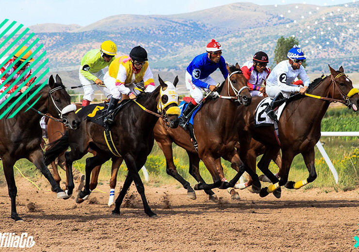 Cómo convertirse en Afiliado de Apuestas Deportivas