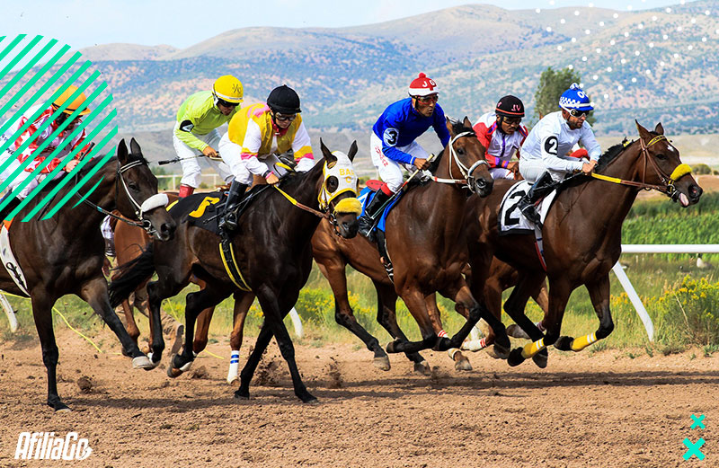 Cómo convertirse en Afiliado de Apuestas Deportivas